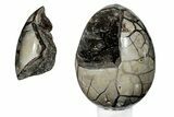 Septarian Dragon Egg Geode - Removable Section #271142-1